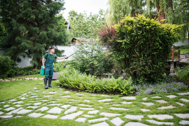 Best Pest Control for Homes  in Cave City, KY