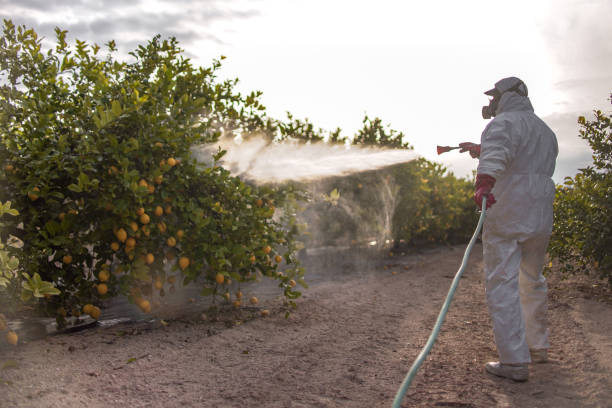 Pest Control Cost in Cave City, KY
