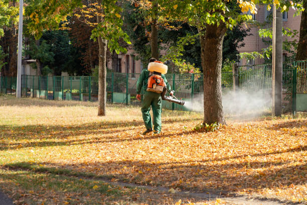 Best Emergency Pest Control  in Cave City, KY