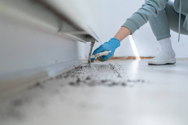 Best Pest Removal Services  in Cave City, KY